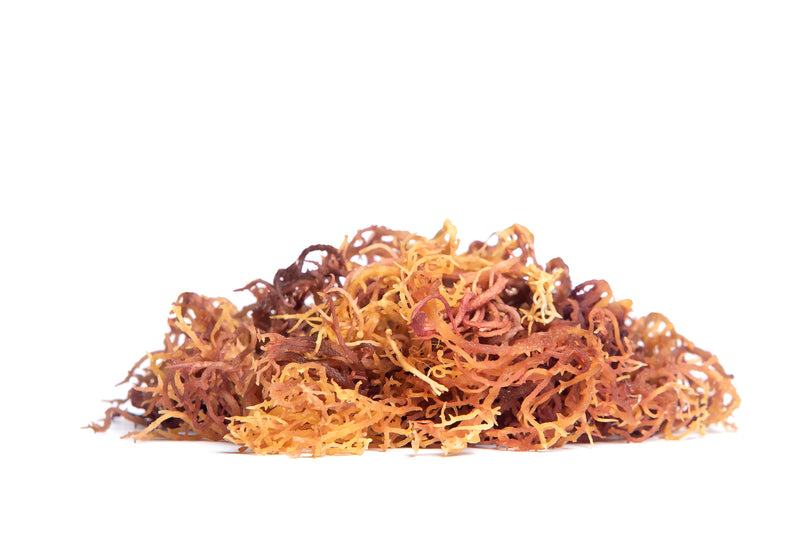 Full Spectrum Sea Moss (Non-rinsed with Sea Debris)