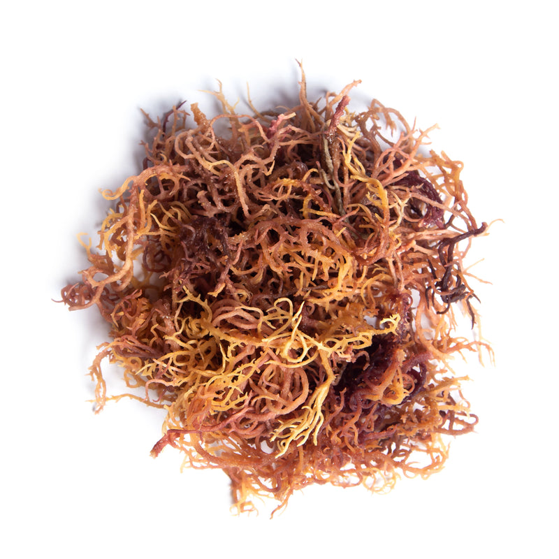 Full Spectrum Sea Moss (Non-rinsed with Sea Debris)