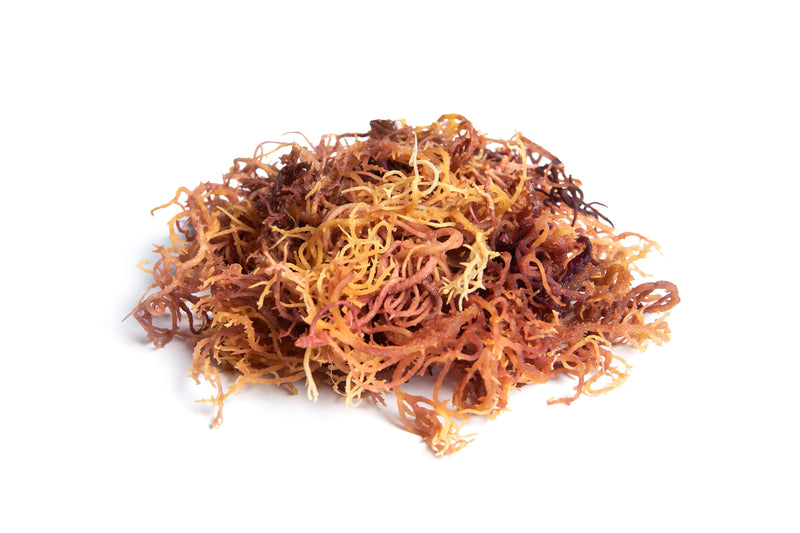 Limited Time(Wholesale 5lbs) Full spectrum Sea Moss